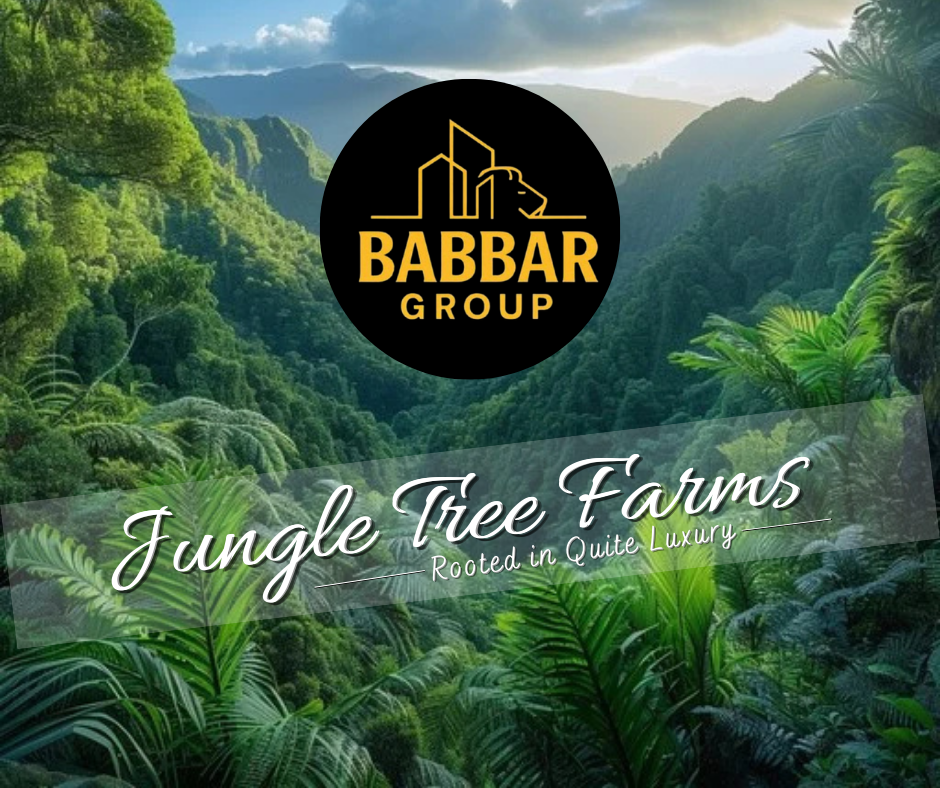 Babbar Group- who we are