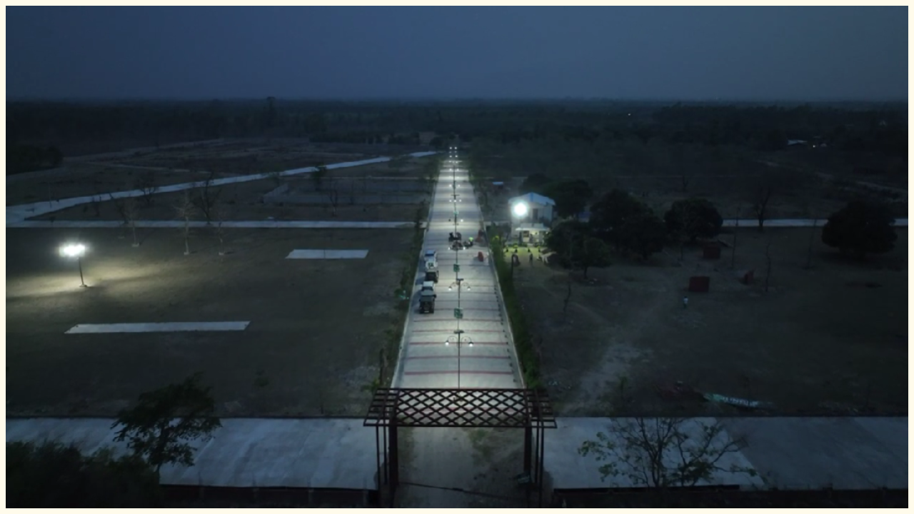 Jungle tree farmhouse project night view