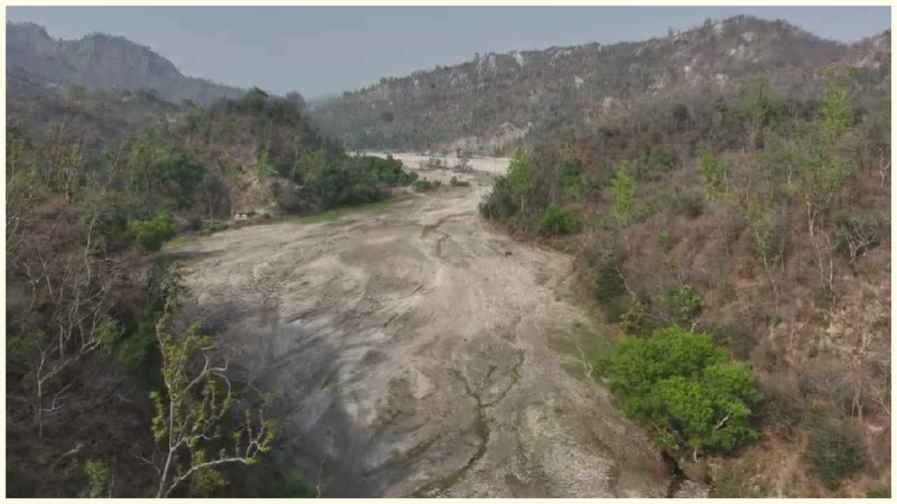 Jungle tree farmhouse dehradun project surrounding jungle view