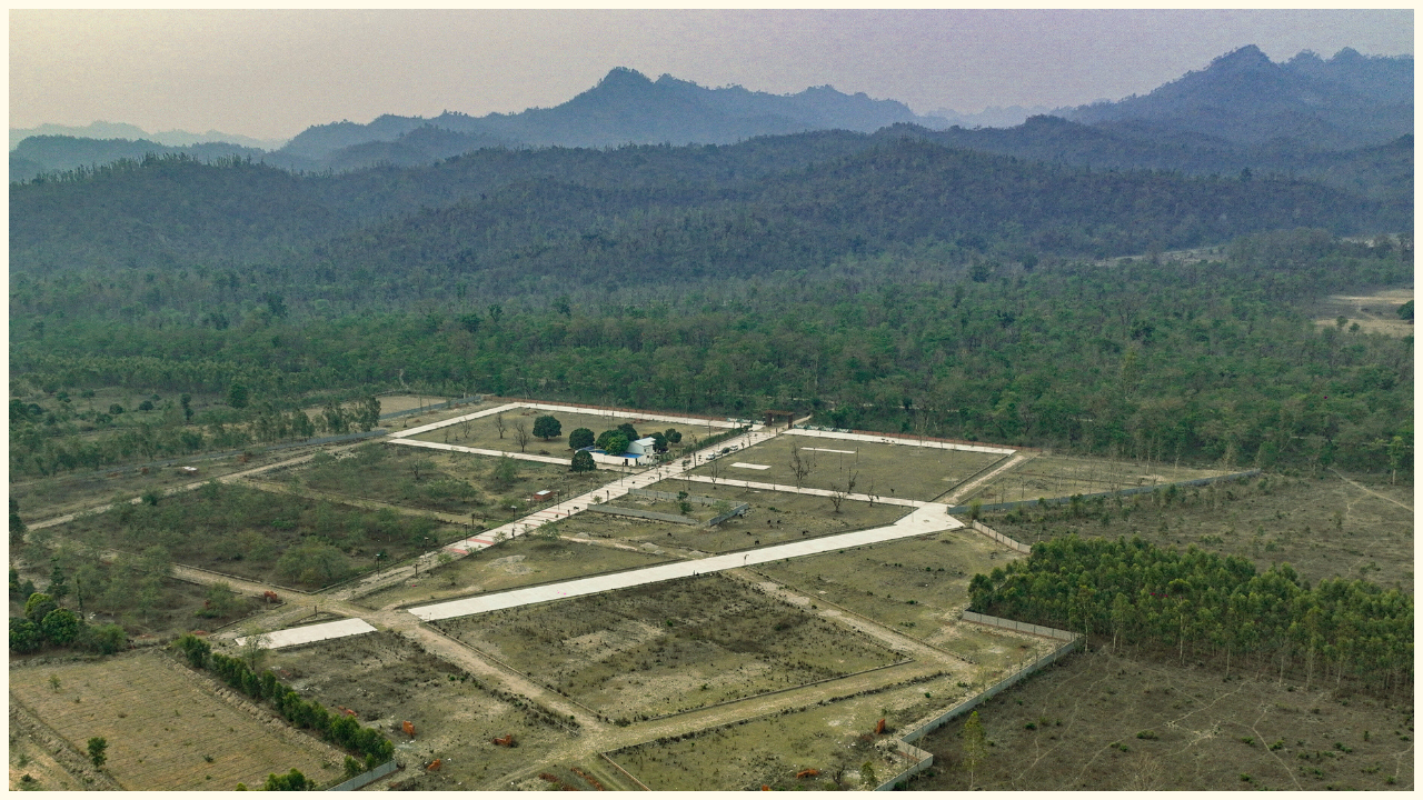 Jungle Tree Project farmhouses view from drone